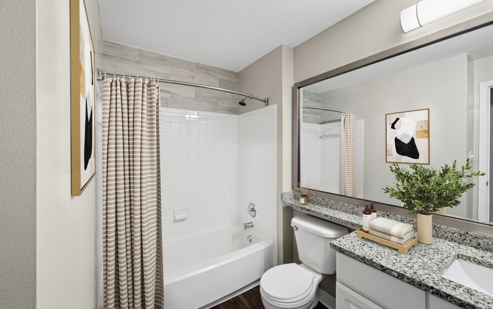 B1 - 2 bedroom floorplan layout with 1 bathroom and 893 square feet (Bathroom, 3D)