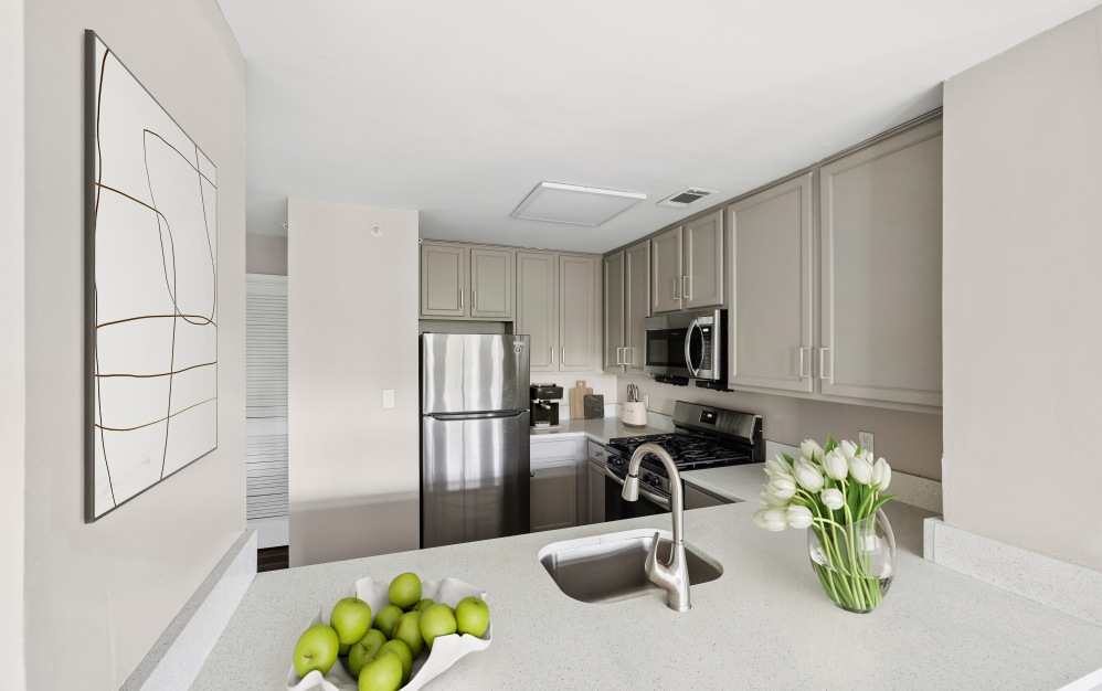 B1 - 2 bedroom floorplan layout with 1 bathroom and 893 square feet (Kitchen, 3D)